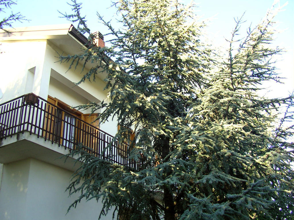 Villa Caterina B&B Pedara Buitenkant foto