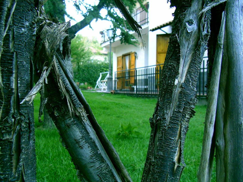 Villa Caterina B&B Pedara Buitenkant foto
