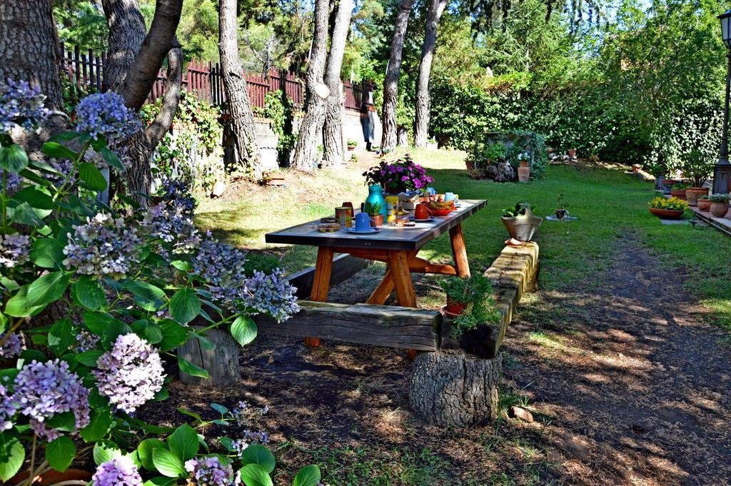 Villa Caterina B&B Pedara Buitenkant foto